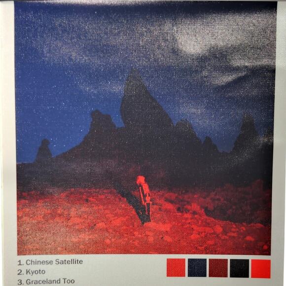 Phoebe Bridgers Punisher Album Cover Canvas Print Poster, Indie, 12x16" Unframed - Picture 2 of 4